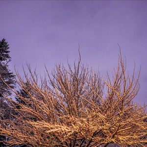 Meet your Posher, Nicholas